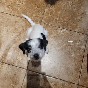 Meet your Posher, Ada